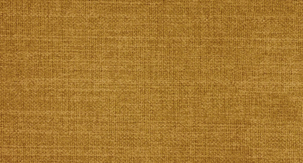 CAMPSBAY456 MUSTARD S1