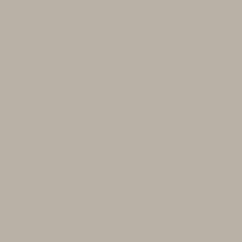 Laccato Lucido taupe