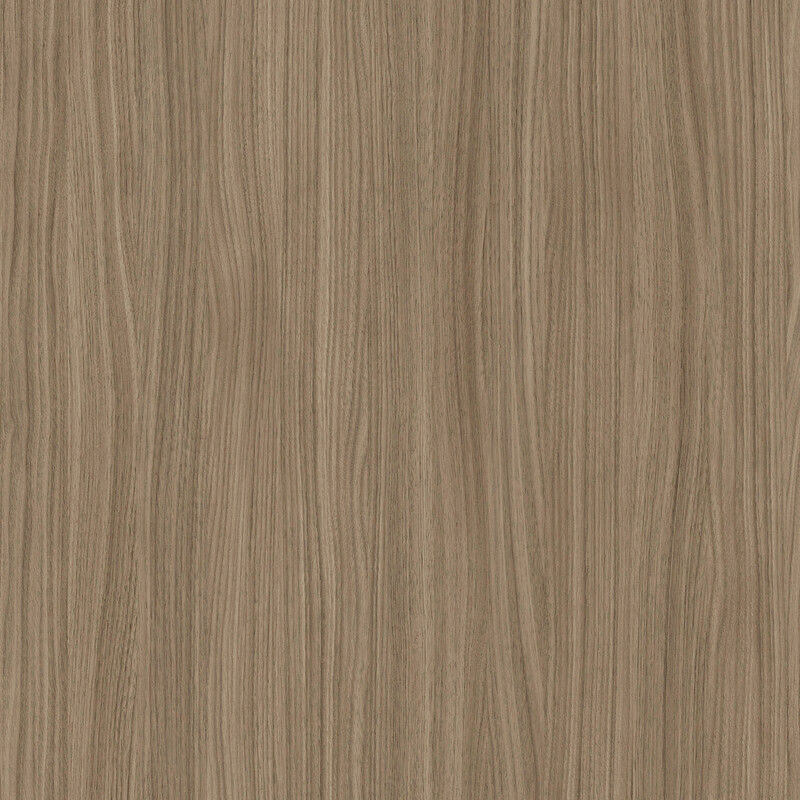 Rovere africano