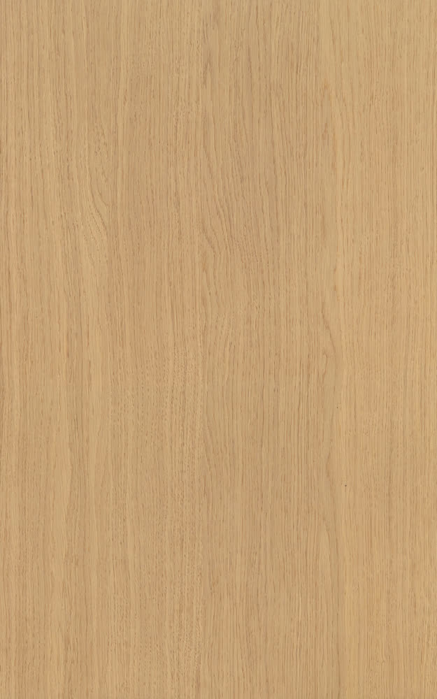 Rovere biondo